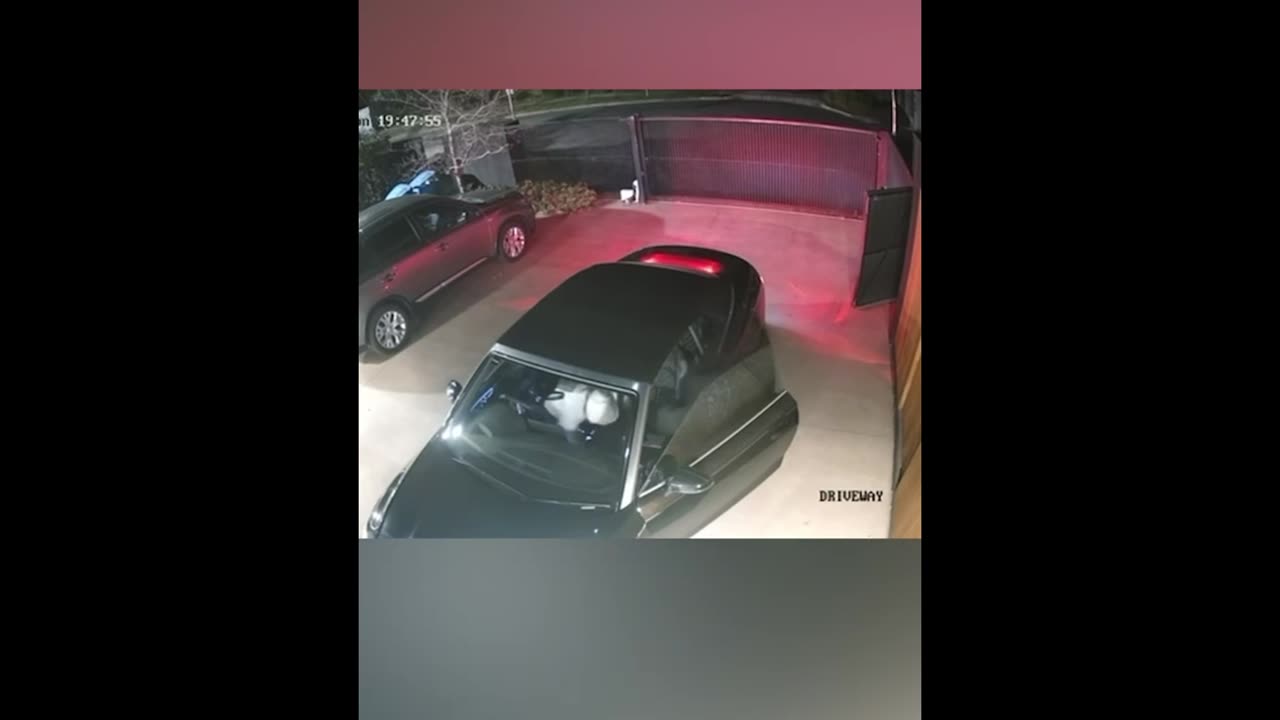 Two would be thieves have had a ruff night after a Melbourne homeowner gave them the fright of their