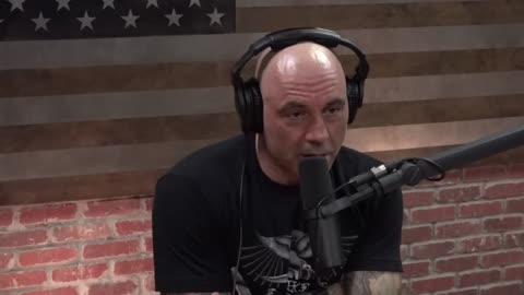 Family Friendly Joe Rogan Experience #1470 - Elon Musk