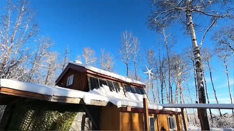 Snowy Morning_ Wood, Snow, and a Beautiful Day Ahead! #livingoffgrid #wintervibes #firewood