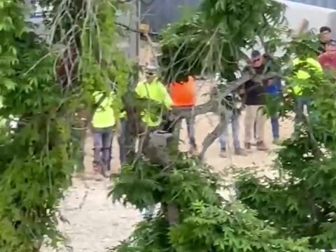 ICE Operation in Tallahassee