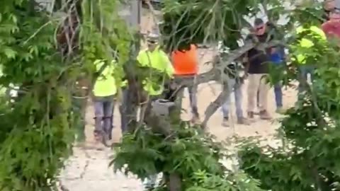 ICE Operation in Tallahassee