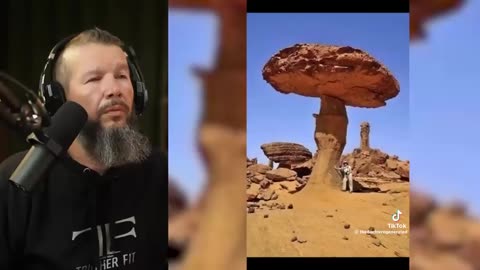 PETRIFIED NEPHILIM & DRAGONS. NESARA GESARA 2.0