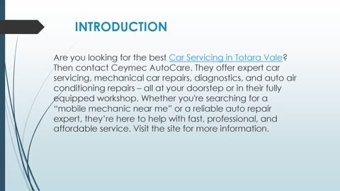Best Car Servicing in Totara Vale