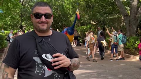 All Gas No Brakes in Disney World