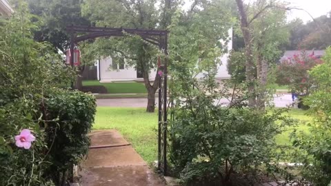 10 minutes meditation, rain sounds