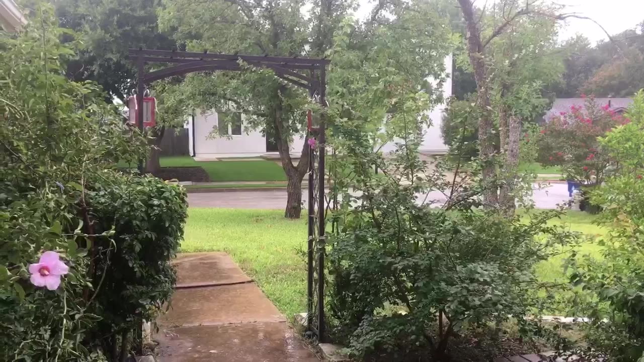 10 minutes meditation, rain sounds