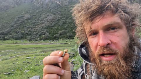 Microdose #Andes #Mountains #Mushrooms