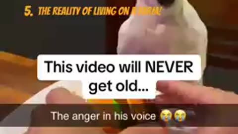 Funny animals😂😂😂