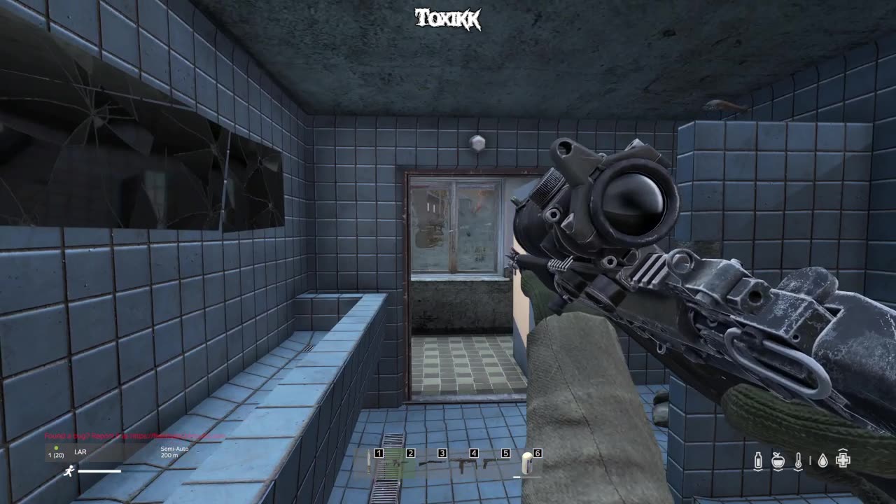 You, flock of seagulls, you know why we're here? (DayZ)