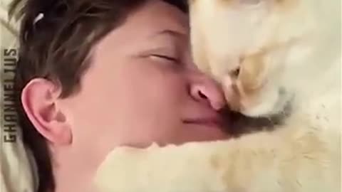 Savage Cats & People😂