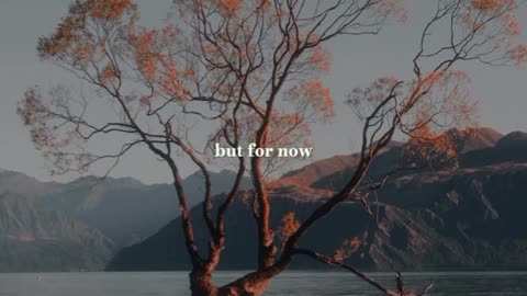 We will meet again