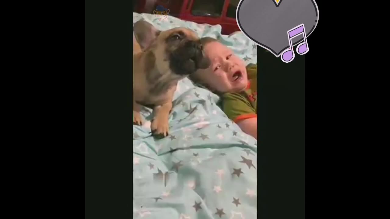 The Ultimate Funniest ANIMALS Compilation 🤣 Non-Stop Laughter!