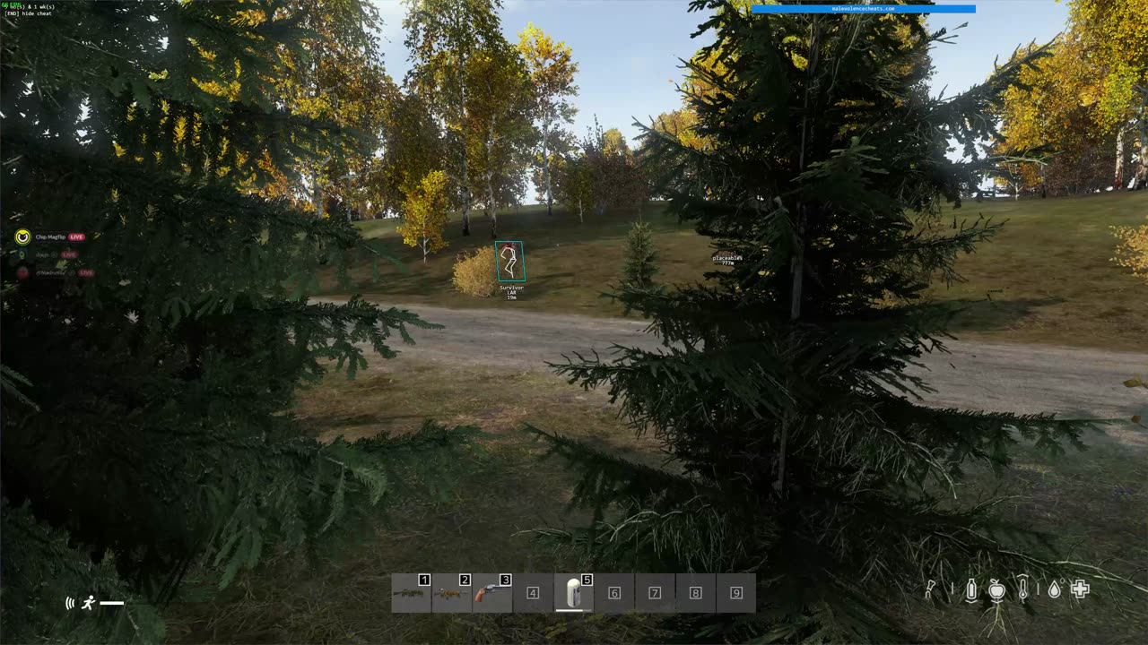 Lynyrd Skynyrd- Cheat Bird featuring some hax (DayZ)