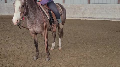 Learn to sidepass.. Kyla is teaching you how to do it!