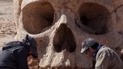 Scientists Stuned by Giant Human Skul