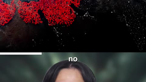 People Are Ending Themselves Over September 23 Rapture