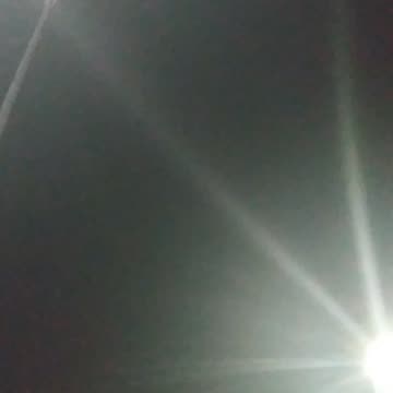 Remember When We Be-LIE-ved This Meant FREEDOM