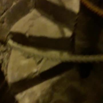 The Secret Staircase