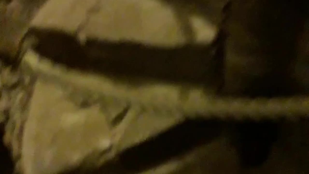 The Secret Staircase