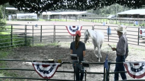 Skipper Calder & Cowboy-up Ministry bring horse training with a message at 11am.