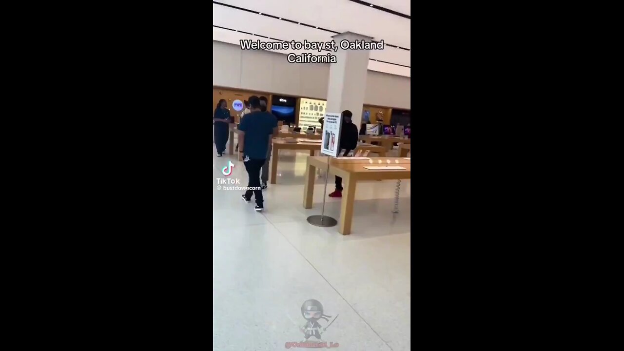 Imagine robbing apple store infront of a cop car and they do nothing 🤡