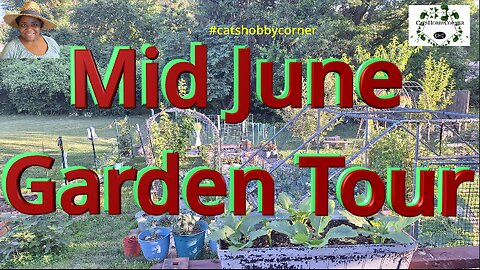 Mid June Garden Tour - #catshobbycorner #gardentour