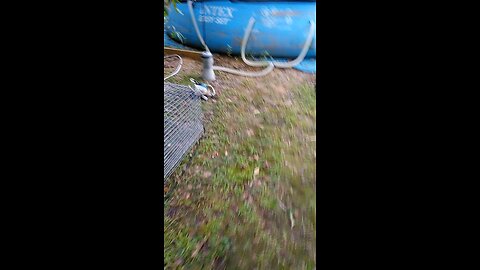 Firßt harvest lol