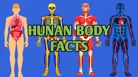 Unlocking the Secrets of Body Architecture: Building a Stronger You