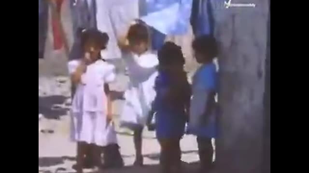 The Zionist idea amounts to building “a state only for the jews,”