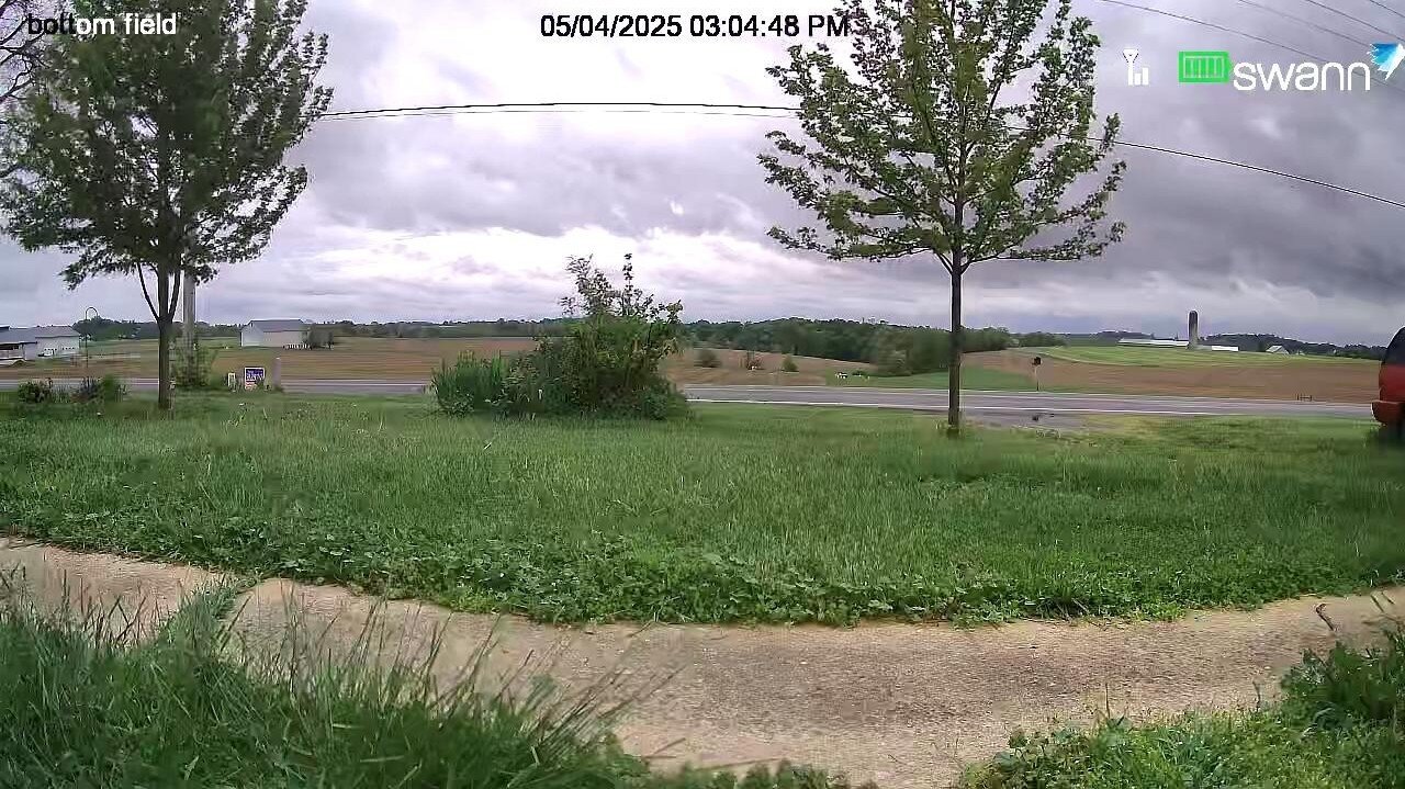 Sunday Afternoon Walk And Talk!