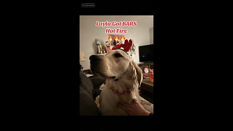Layla got BARS🔥🔥🔥 #gdenretriever #bars #dog #pet #reel