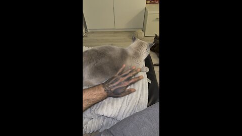 My Cut Love Butt Slap
