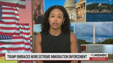 New York Times Lib Mara Gay Claims ICE Raids Are On People Not 'American Enough'