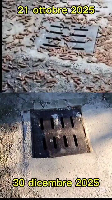 che succede a Magenta?