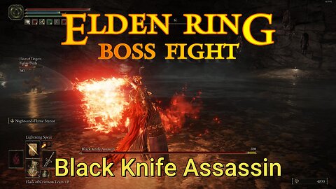 Elden Ring : Boss Fight - Black Knife Assassin