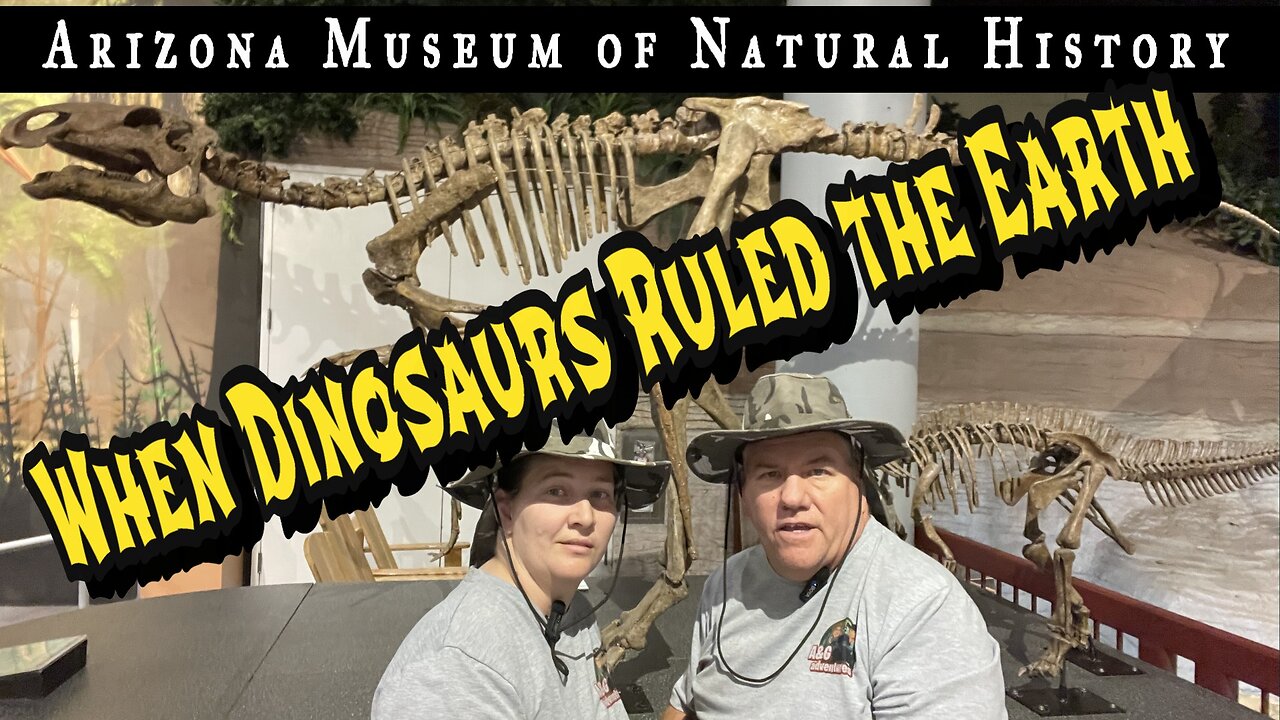 Dinosaurs, Flash Floods & Lost Gold?! A Wild Day at Arizona’s Natural History Museum!