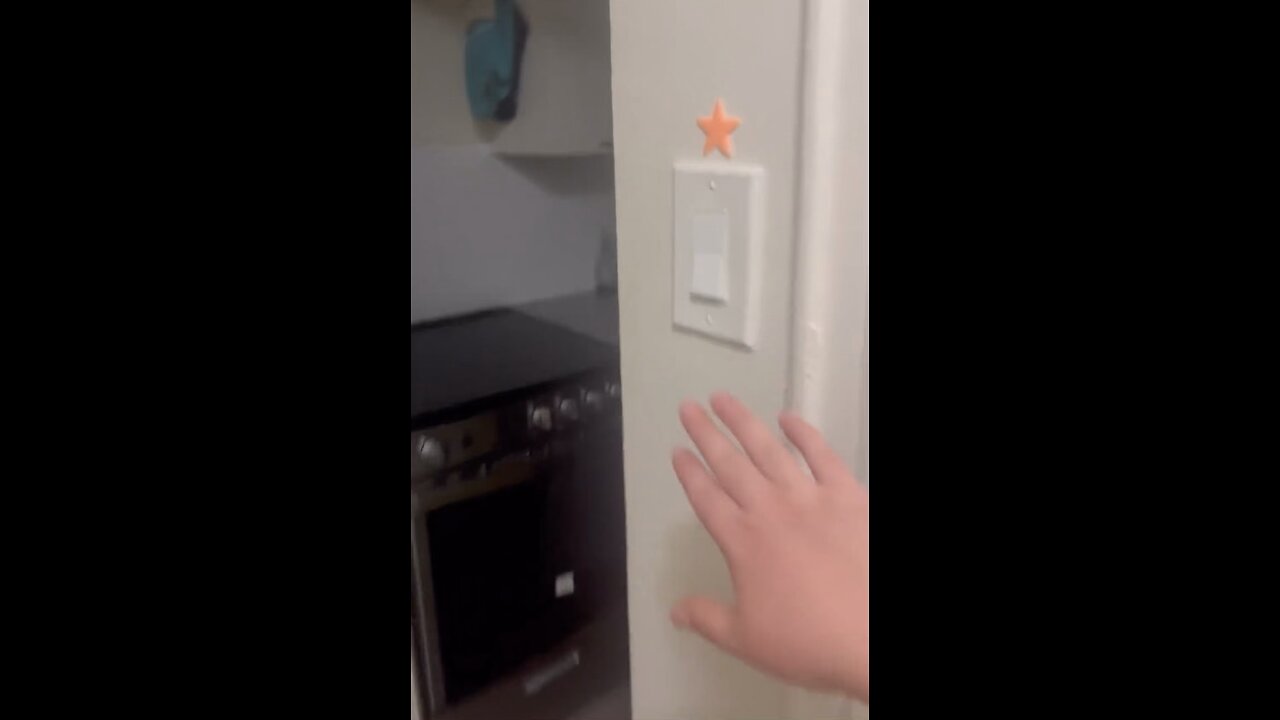 Cat put the light back on