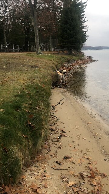 Saturday November 15, The Lord is my shepherd.