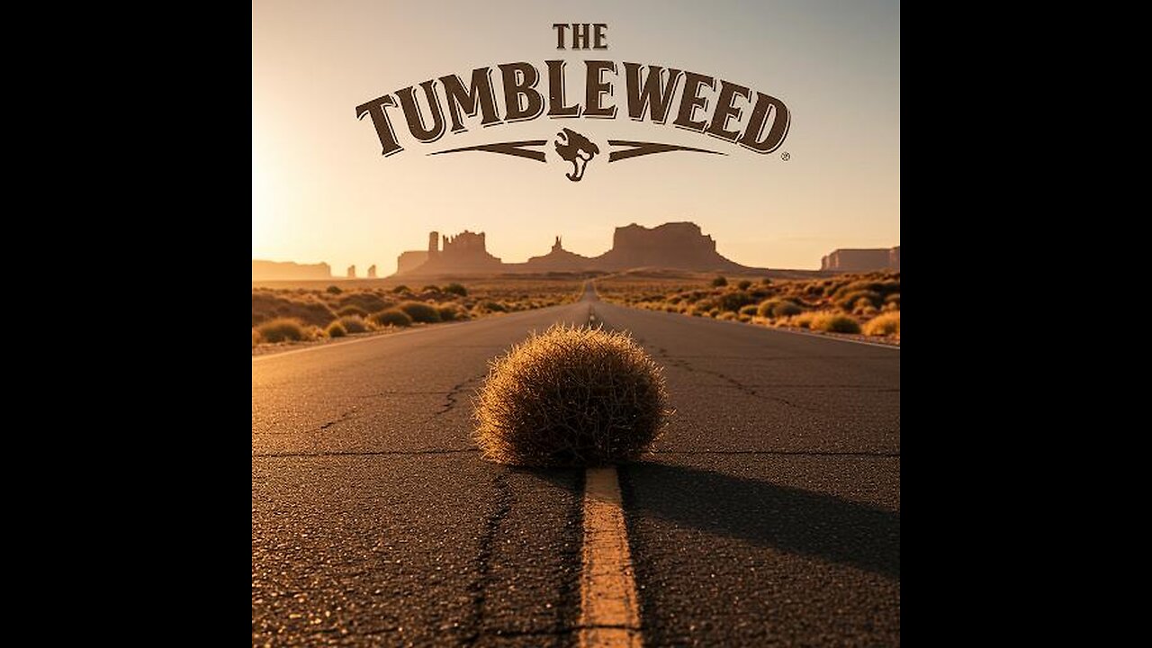 Friday Night August 1st