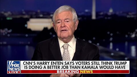 Newt Gingrich: We Need To Call Out Democrats Lies