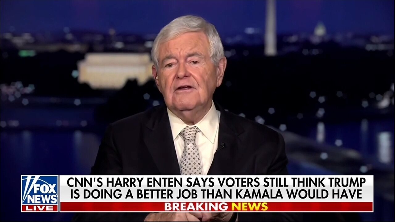 Newt Gingrich: We Need To Call Out Democrats Lies