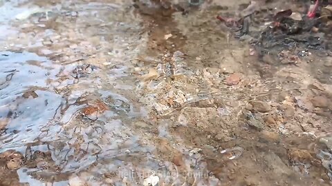 Creating a mini river with relaxing water sounds