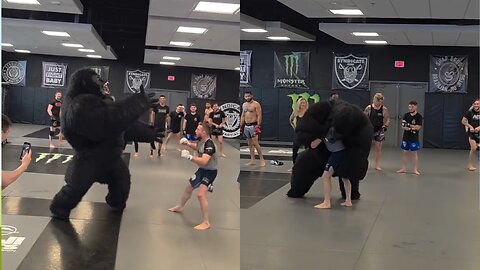 Merab Dvalishvili vs 1 Gorilla