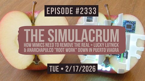 Owen Benjamin | #2333 The Simulacrum - How Mimics Need To Remove The Real + Lucky Lutnick & Anarchapulco "Root Work" Down In Puerto Viagra