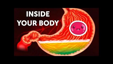 A Journey Inside Your Body