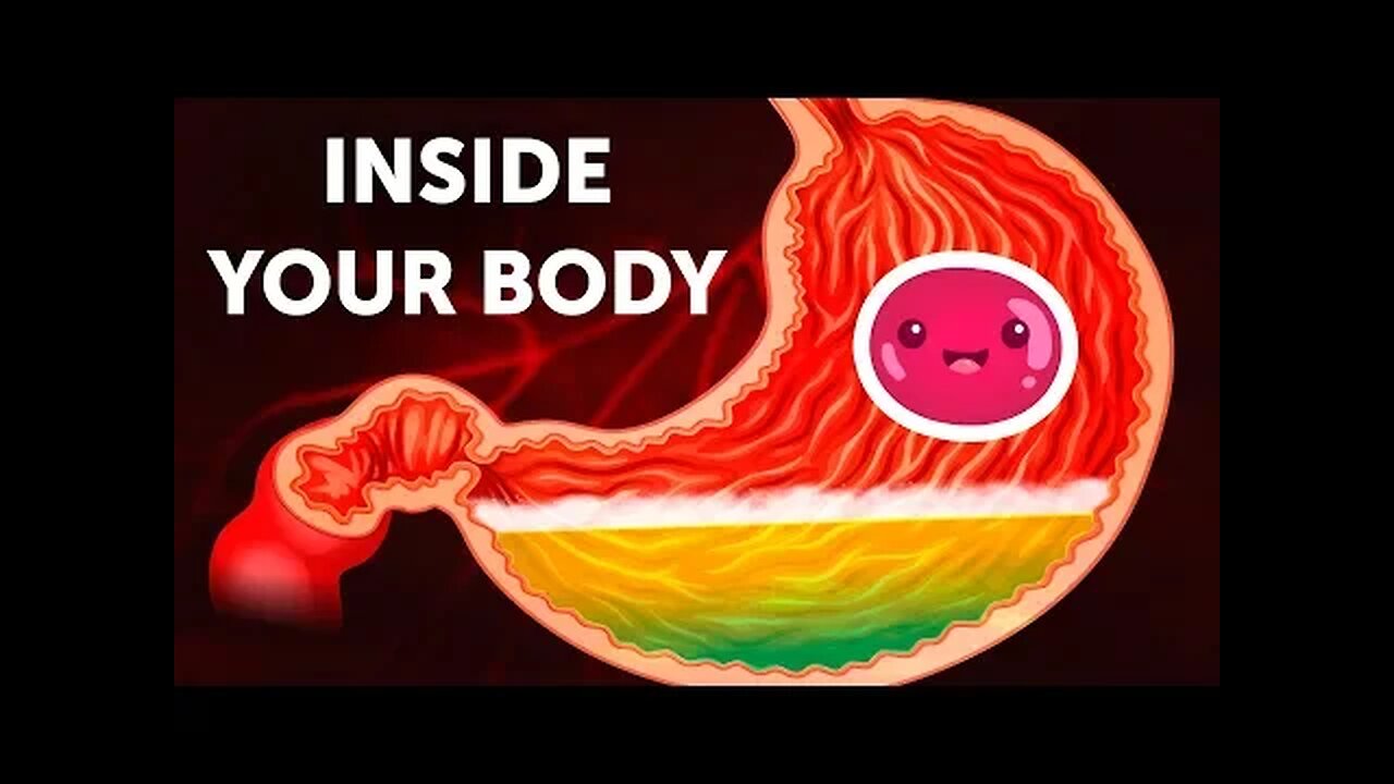 A Journey Inside Your Body