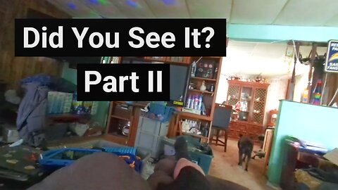 Andrew Ditch: Did You See It? (Part 2)
