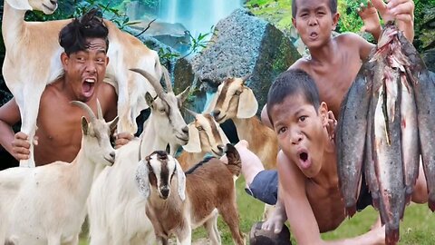 Jungle Goat Attack! 🐐 Unbelievable Scenes