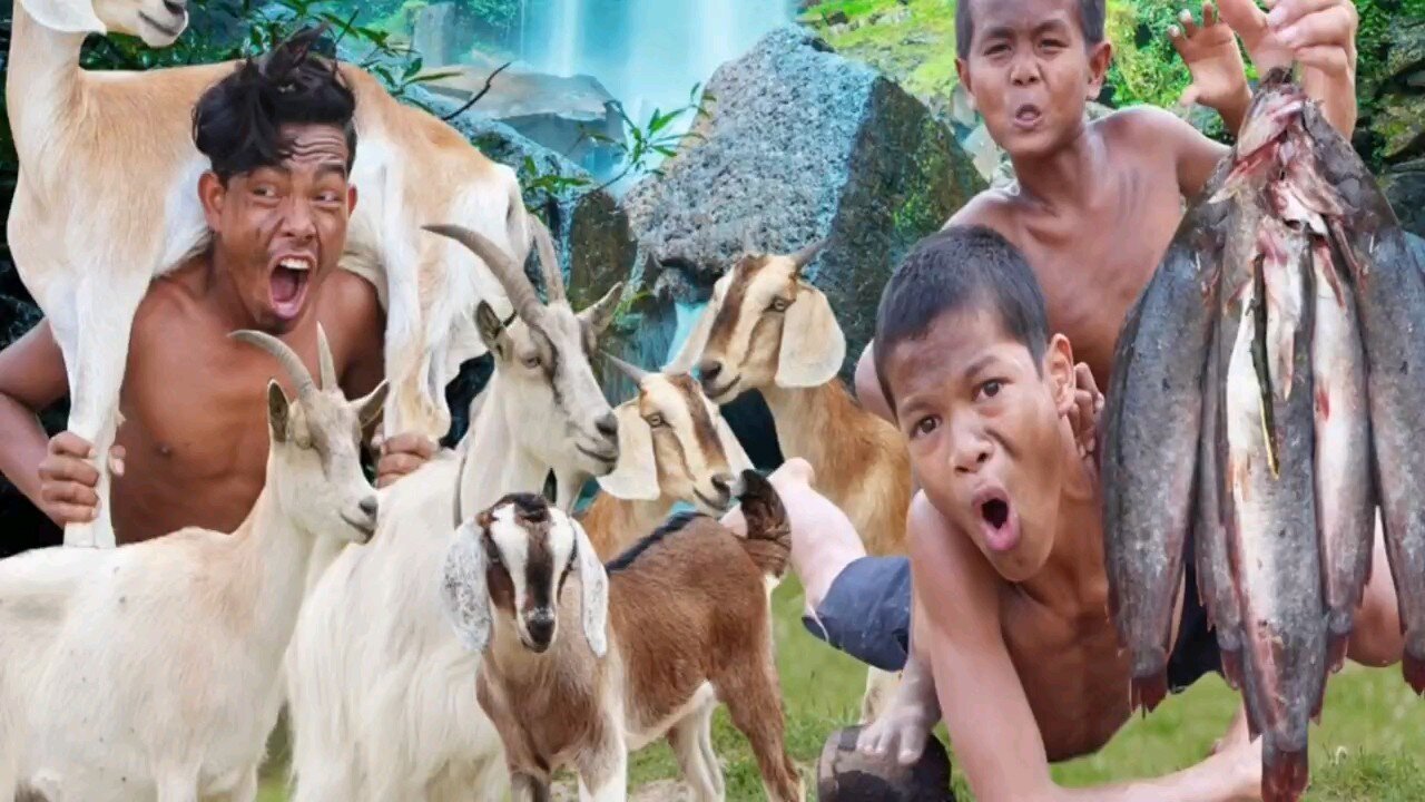 Jungle Goat Attack! 🐐 Unbelievable Scenes