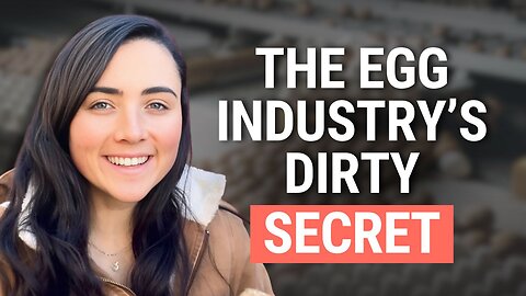PUFAs in “Healthy” Eggs?: The Truth About Conventional, Organic & Pastured Eggs | Ashley Armstrong